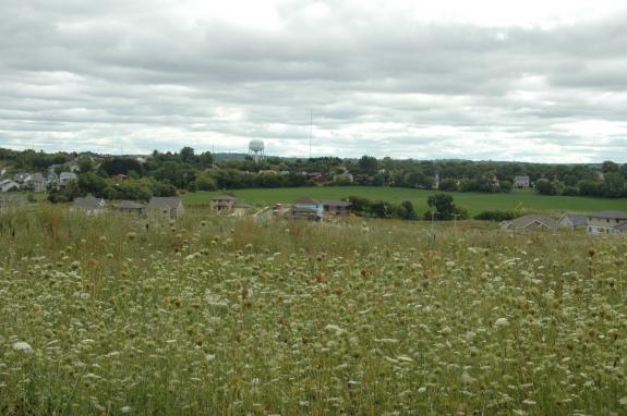 View from Greenbriar Road