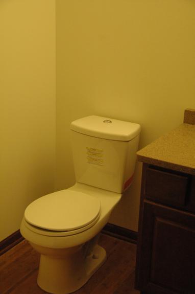 Powder room toilet