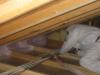 Spray Foam Attic